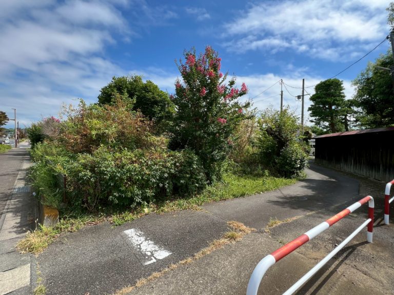 伐採抜根整地工事before