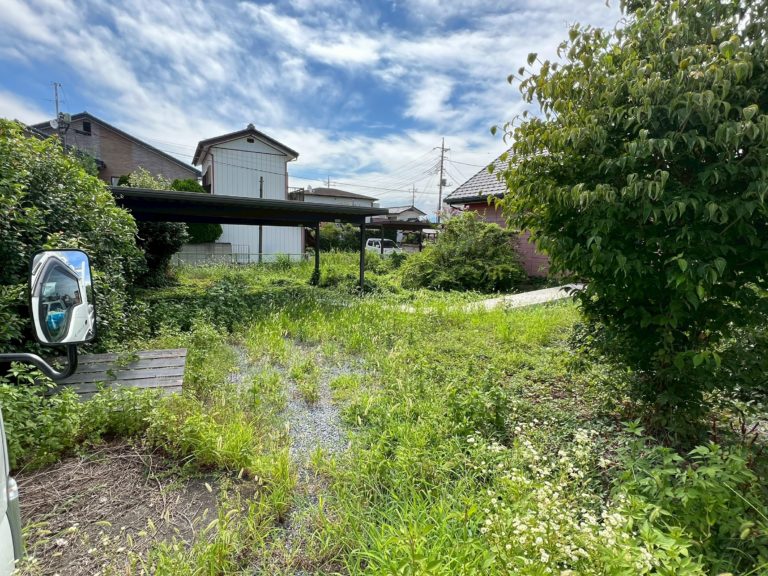 伐採抜根整地工事before