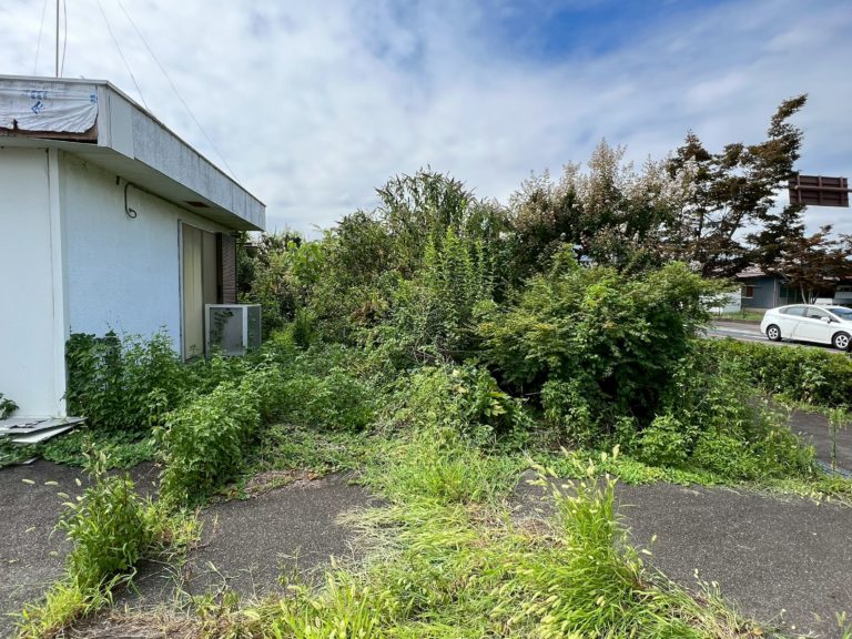 伐採抜根整地工事before